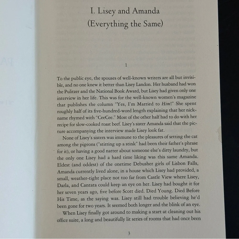 Lisey's Story: A Novel by Stephen King | Fiction | Hardcover Book - Picture 11 of 11
